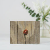 Ladybug op hout briefkaart (Staand voorkant)