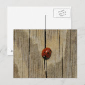 Ladybug op hout briefkaart (Voorkant / Achterkant)