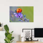 Ladybug op lavenderbloem poster (Thuiskantoor)