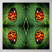 Ladybug op Leaf Close Abstract Poster (Voorkant)