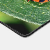 Ladybug op Leaf Close Up Personated Bureaumat (Hoek)