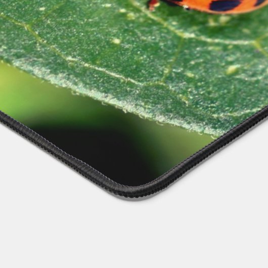 Ladybug op Leaf Close Up Personated Bureaumat (Hoek)