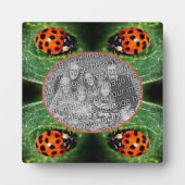 Ladybug op Leaf Creëer Uw eigen foto Fotoplaat (Voorkant)