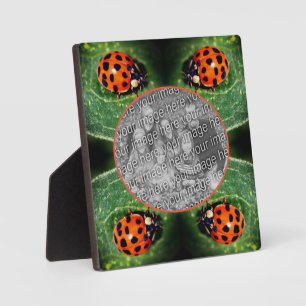 Ladybug op Leaf Creëer Uw eigen foto Fotoplaat