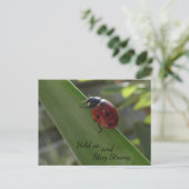 Ladybug op Leaf Hold on and Blijf Sterk Briefkaart (Staand voorkant)