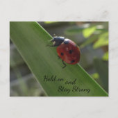 Ladybug op Leaf Hold on and Blijf Sterk Briefkaart (Voorkant)