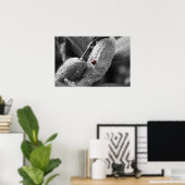 Ladybug op Milkweed Poster (Thuiskantoor)