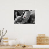 Ladybug op Milkweed Poster (Keuken)