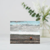 Ladybug op Rustic wood window Briefkaart (Staand voorkant)