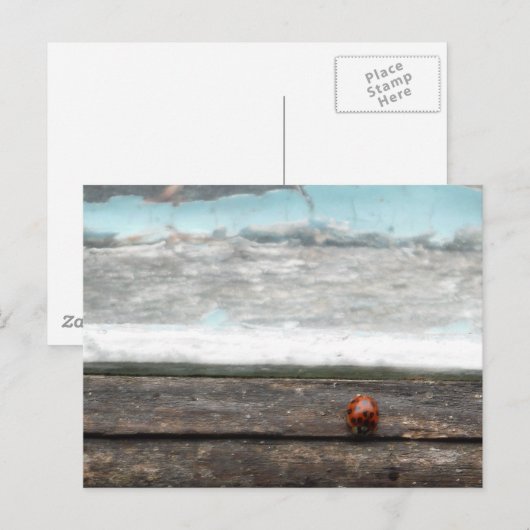 Ladybug op Rustic wood window Briefkaart (Voorkant / Achterkant)
