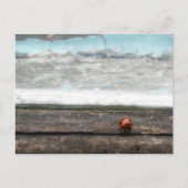 Ladybug op Rustic wood window Briefkaart (Voorkant)