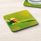 Ladybug op sprig bier onderzetter (Linkerzijde)