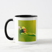 Ladybug op sprig mok (Links)