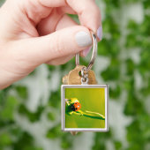 Ladybug op sprig sleutelhanger (Hand)
