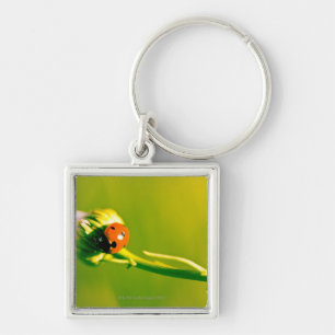 Ladybug op sprig sleutelhanger