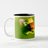 Ladybug op sprig tweekleurige koffiemok (Links)