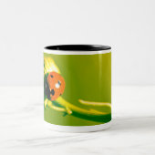 Ladybug op sprig tweekleurige koffiemok (Center)