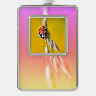 Ladybug op stengelpleksticker T-Shirt Ma Verzilverd Omlijst Ornament