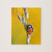 Ladybug op stengeltje briefkaart legpuzzel (Verticaal)