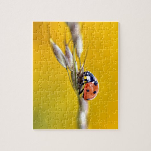 Ladybug op stengeltje briefkaart legpuzzel (Verticaal)