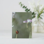 Ladybug op stoom briefkaart (Staand voorkant)