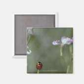 Ladybug op stoom magneet (Voorkant / Achterkant)