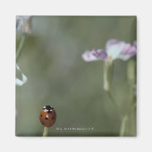 Ladybug op stoom magneet (Voorkant)