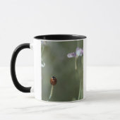 Ladybug op stoom mok (Links)