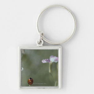 Ladybug op stoom sleutelhanger