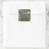 Ladybug op stoom vierkante sticker (Tas)