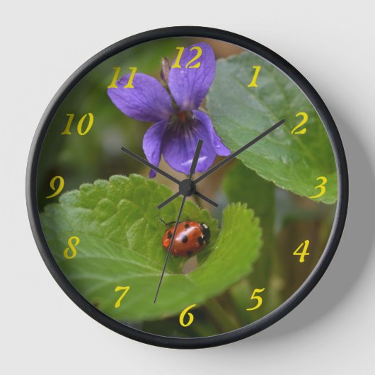 Ladybug op Sweet Violet Flowers (Voorkant)