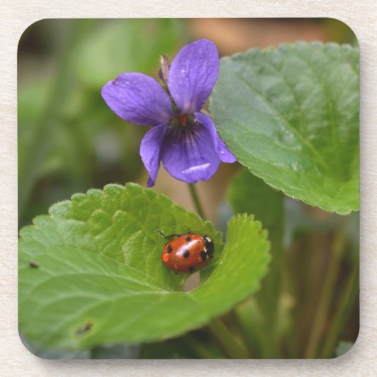 Ladybug op Sweet Violet Flowers Bier Onderzetter (Voorkant)
