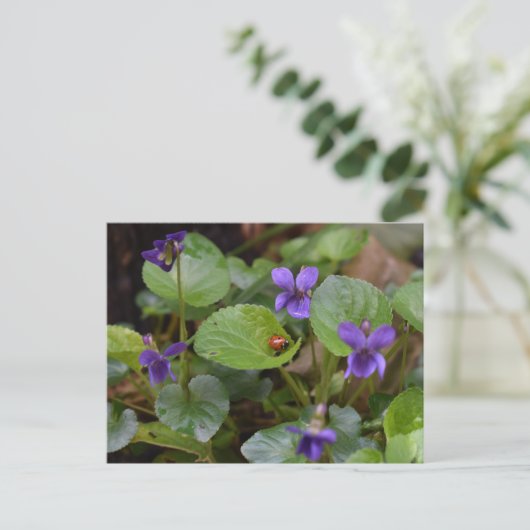 Ladybug op Sweet Violet Flowers Briefkaart (Staand voorkant)