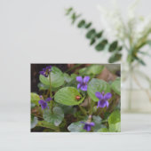 Ladybug op Sweet Violet Flowers Briefkaart (Staand voorkant)