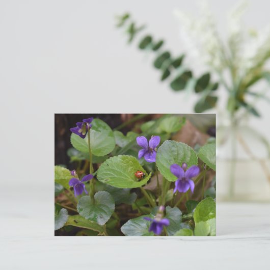 Ladybug op Sweet Violet Flowers Briefkaart (Staand voorkant)