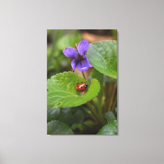 Ladybug op Sweet Violet Flowers Canvas Afdruk (Voorkant)