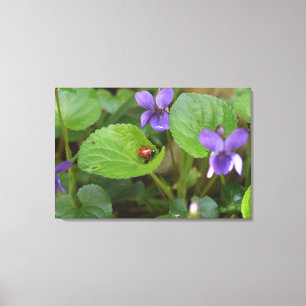 Ladybug op Sweet Violet Flowers Canvas Afdruk
