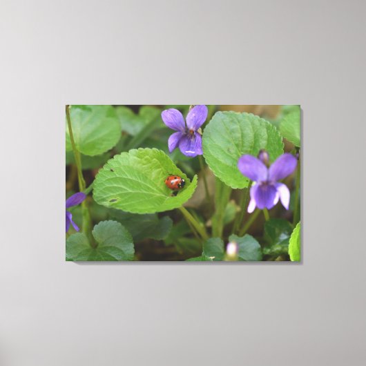 Ladybug op Sweet Violet Flowers Canvas Afdruk (Voorkant)