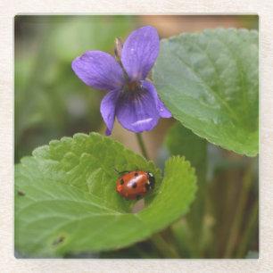 Ladybug op Sweet Violet Flowers Glazen Onderzetter