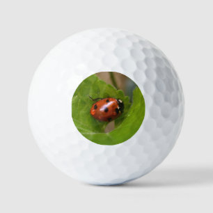 Ladybug op Sweet Violet Flowers Golfballen
