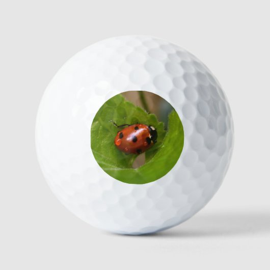 Ladybug op Sweet Violet Flowers Golfballen (Voorkant)