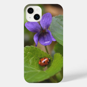Ladybug op Sweet Violet Flowers