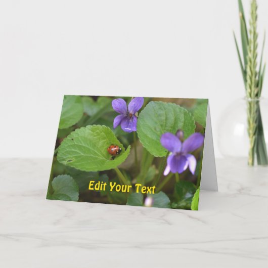 Ladybug op Sweet Violet Flowers Kaart (Voorkant)