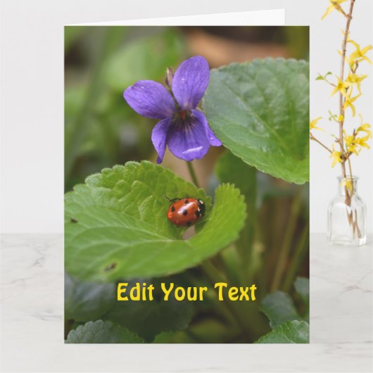 Ladybug op Sweet Violet Flowers Kaart (Gele Bloem)
