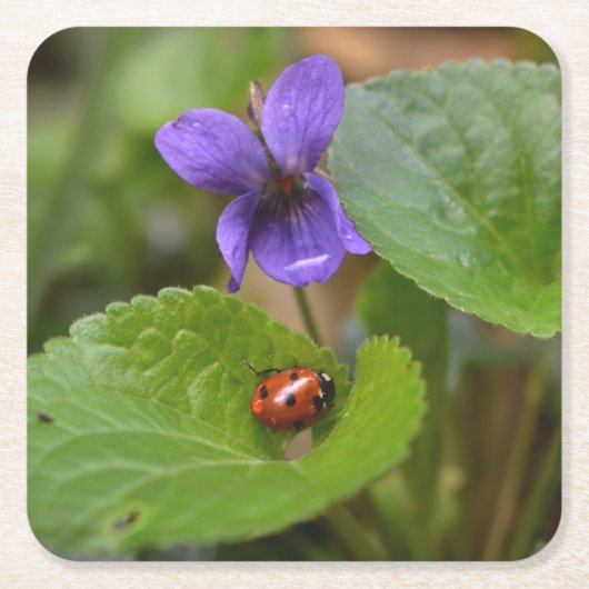 Ladybug op Sweet Violet Flowers Kartonnen Onderzetters (Voorkant)