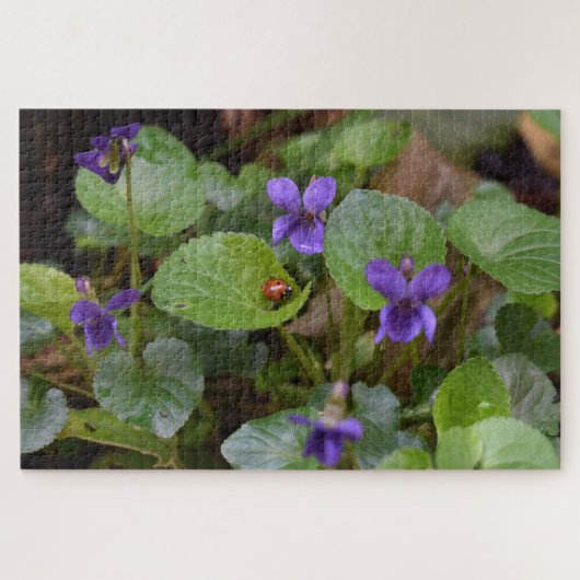 Ladybug op Sweet Violet Flowers Legpuzzel (Horizontaal)