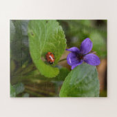 Ladybug op Sweet Violet Flowers Legpuzzel (Horizontaal)
