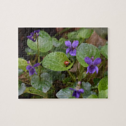 Ladybug op Sweet Violet Flowers Legpuzzel (Horizontaal)