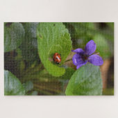 Ladybug op Sweet Violet Flowers Legpuzzel (Horizontaal)