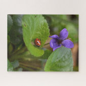 Ladybug op Sweet Violet Flowers Legpuzzel (Horizontaal)